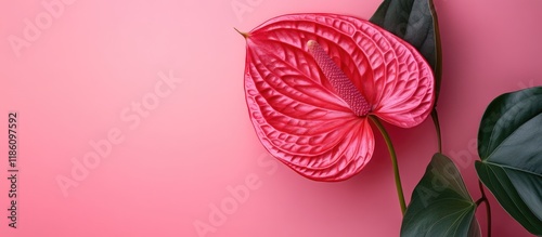 Tropical red flower at the ...