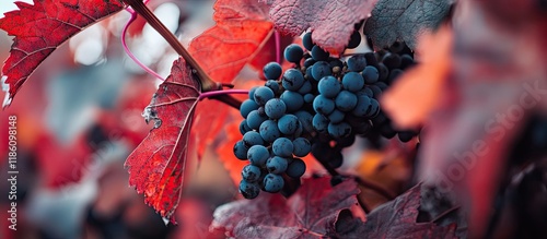 Close up of red leaves of w...
