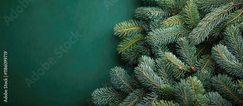 many green fallen needles f...