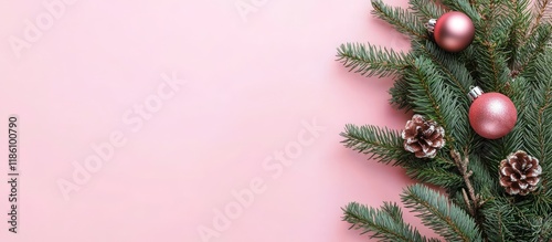 Green Christmas tree branch...