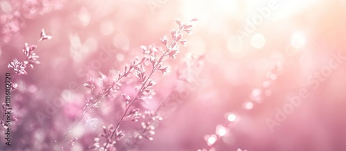Unfocused summer backdrop i...