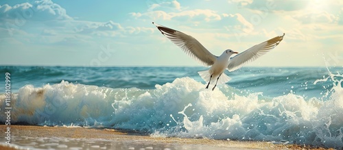 A solitary seagull is launc...