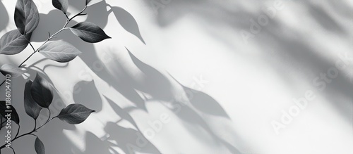 Abstract leaves cast a natu...