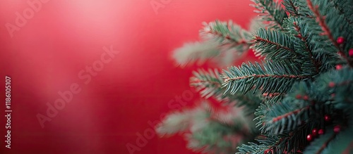 Christmas decoration featur...