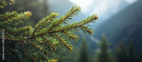 Close up of a cedar branch ...