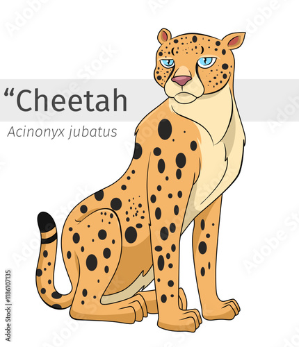 Cheetah cartoon sit down illustration