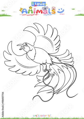 Lets color it Cendrawasih Birds of paradise flying cartoon