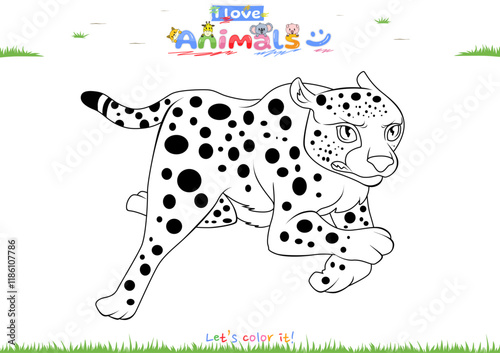 Lets color it Cheetahs 1