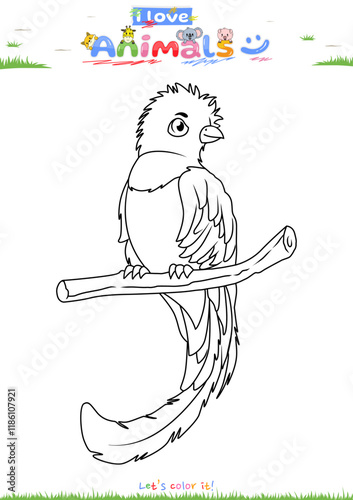 Lets color it Cute Quetzal cartoon