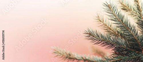Christmas with a pine branc...