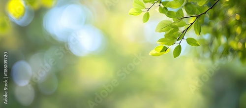 Natural abstract blurred ba...