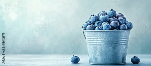 Fresh blueberries in a tin ...