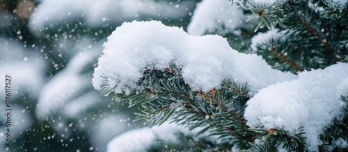 Snow covered Christmas tree...