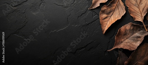 BROKEN LEAF FRAGMENTS ON A ...