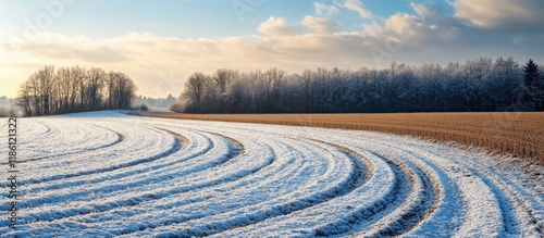 Winter agriculture field wi...