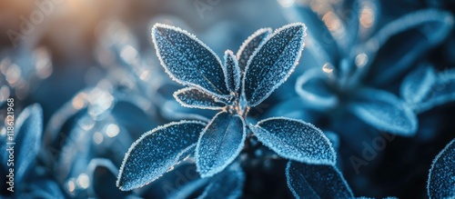 ice crystals on the vegetat...