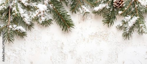 Spruce fir abstract backgro...