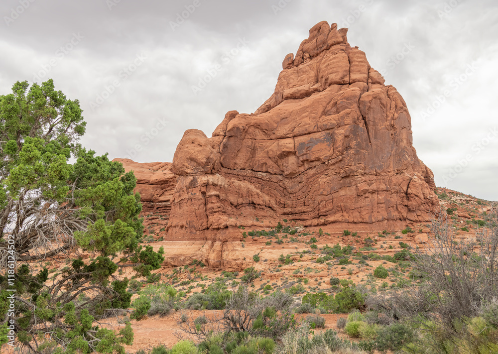 Fototapeta premium Butte Fin Rock Formation in Arches National Park, Utah, USA