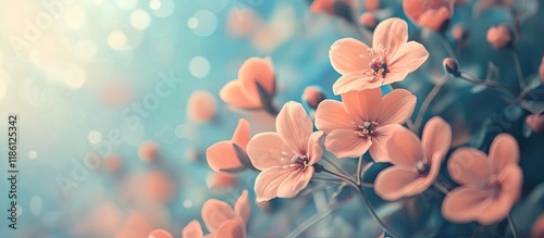 lovely summer flowers again...
