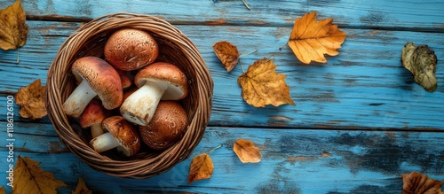 Mushroom boletus in a baske...
