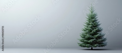 Christmas tree set against ...