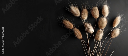 Dried fluffy bunny tails gr...