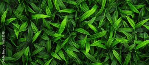 Texture of artificial green...