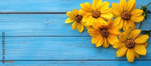 Yellow flowers against a bl...