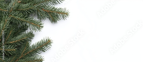 Christmas or New Year decor...