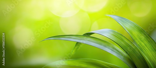 Closeup view of an appealin...