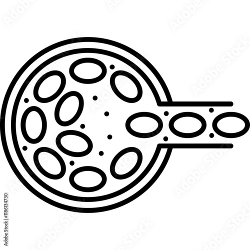 Trophectoderm Cell Icon