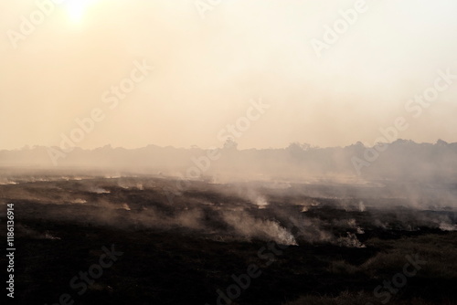 Raging Wildfire with high flames, a Bushfire laid by poachers, wild bushfire, heavy fire, burning grass, burning plains, disastrous inferno