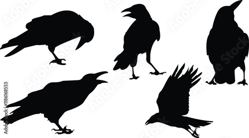 A striking image of crows perched against a pure white backdrop, capturing their sleek silhouettes and sharp features,Flock of crows