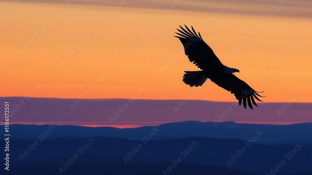 Fototapeta premium A majestic eagle soars against a vibrant sunset backdrop, capturing the beauty of nature in motion.