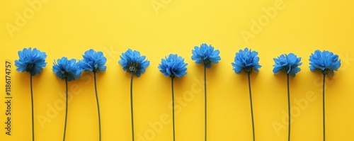 Blue flowers arranged in a row on a bright yellow background, creating a vibrant and cheerful composition ideal for nature and floral themes