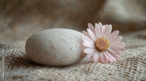 White flowers and smooth stones create a serene nature composition in soft li...