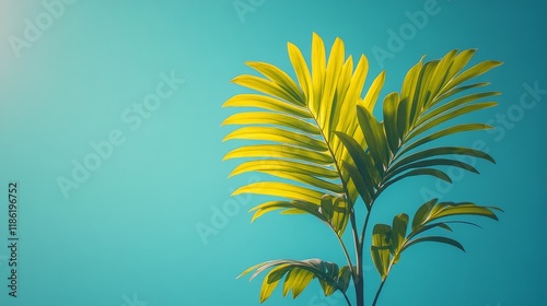 Bright green palm fronds reaching for the clear blue sky on a sunny day in a ...
