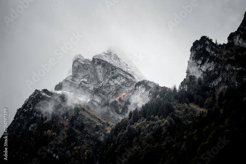 Mystische Bergspitzen im Nebel photo