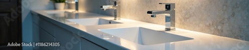 Chrome and porcelain sinks shine with reflected light, modernity, clean