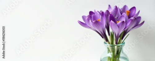 purple crocus flowers in a vase against a white background, vase, purple flowers, flowers