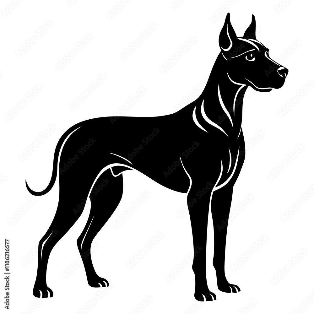 Great Dane Silhouette vector illustration Great Dane Silhouette vector illustration