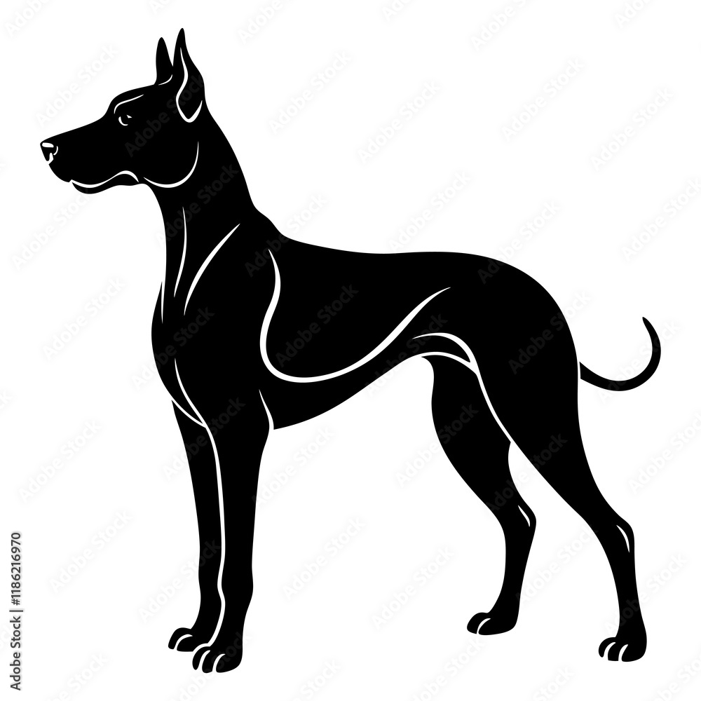 Great Dane Silhouette vector illustration Great Dane Silhouette vector illustration