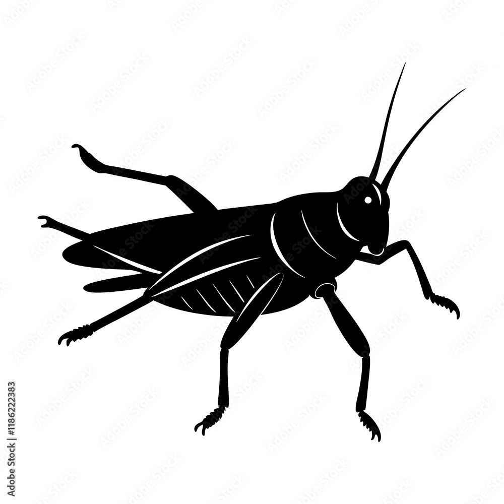 Fototapeta premium Grasshopper Silhouette vector illustration