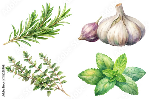 Fresh herbs illustration, culinary ingredients, watercolor style, vibrant colors, kitchen decor, natural elements.