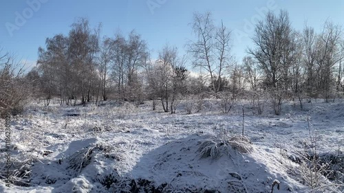 A Serene Wonderland Draped in Winter’s Icy Vei photo