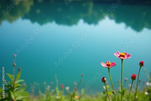 a few wilted flowers in front of a serene blue lake, natural scene, calmness, photo