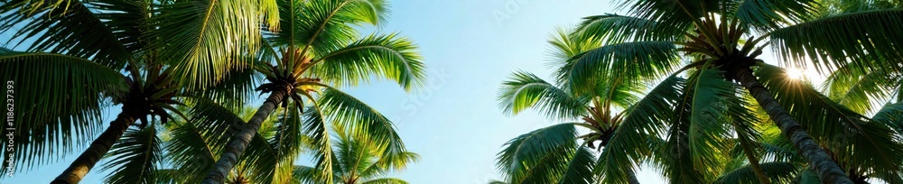 Towering palms and swaying fronds create a natural canopy, foliage, scenery Towering palms and swaying fronds create a natural canopy, foliage, scenery