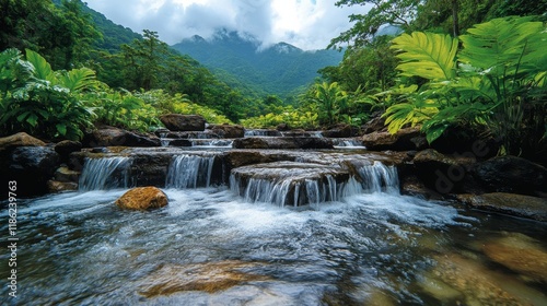 Serene stream with gentle waterfalls flowing through lush green landscape in ...