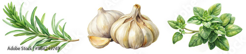 Fresh herbs, garlic bulbs, culinary ingredients, vibrant colors, organic style, food illustration, kitchen decor.