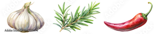 Fresh garlic bulb, vibrant chili pepper, aromatic rosemary sprig, watercolor illustration, culinary herbs, food art.